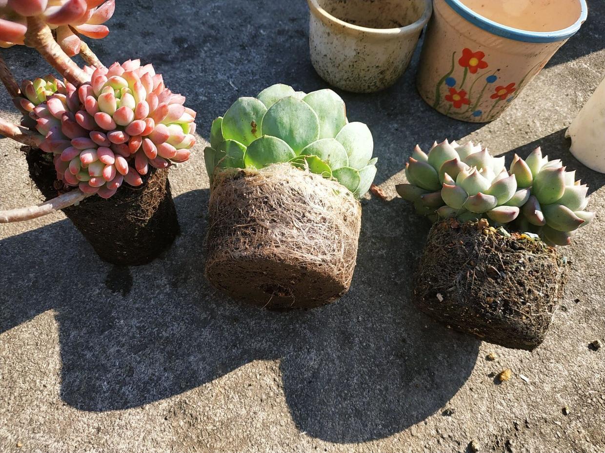 The best way to improve soil quality