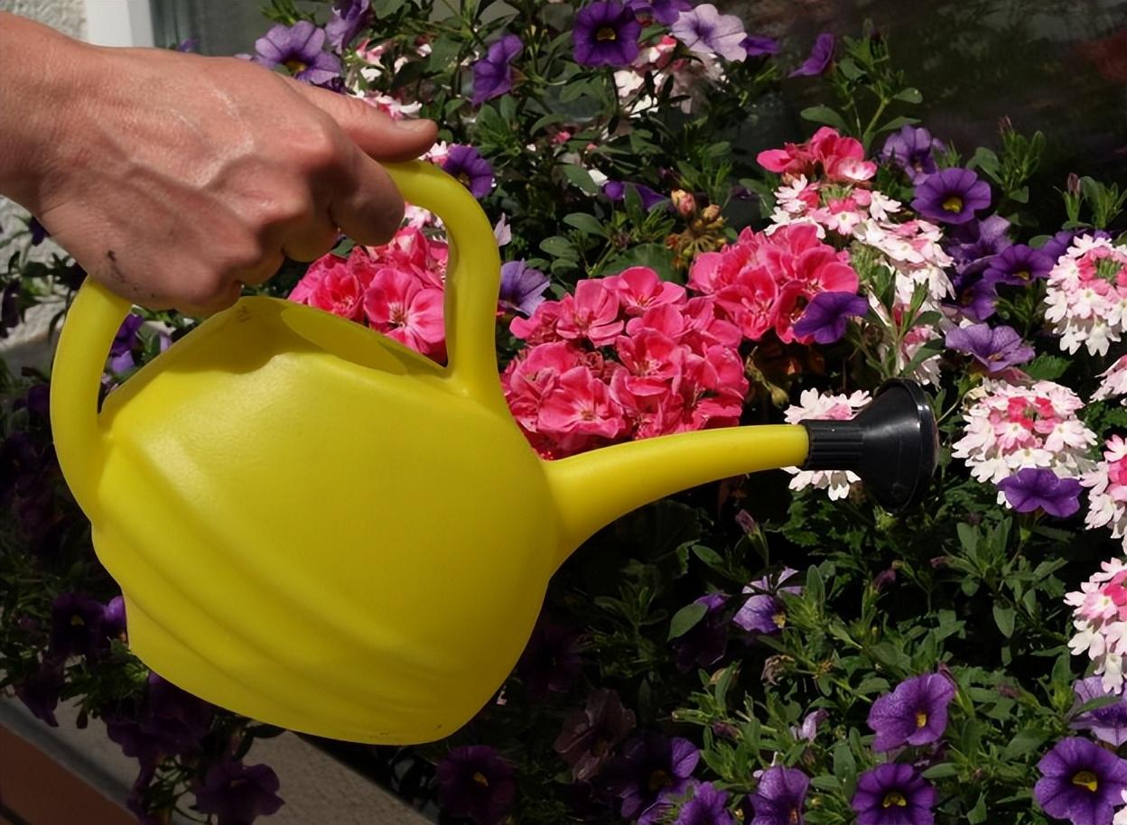 How long can flowers go without water