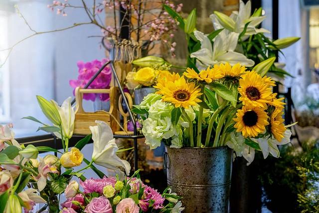 How to grow flowers to keep them longer