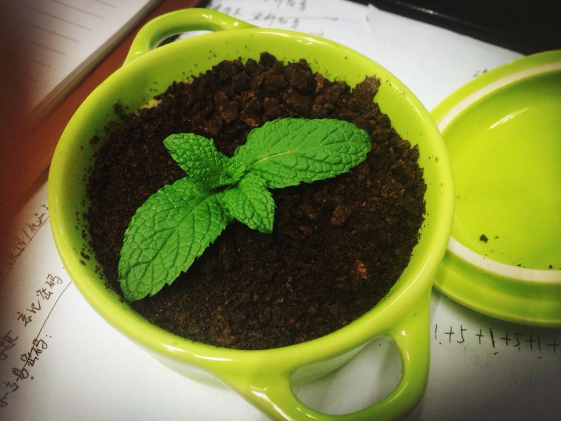 The best way to improve soil quality