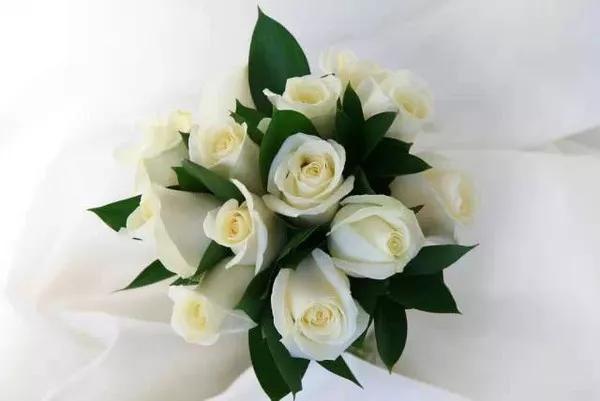 What do white roses symbolize