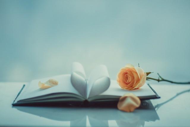 How do you preserve flowers