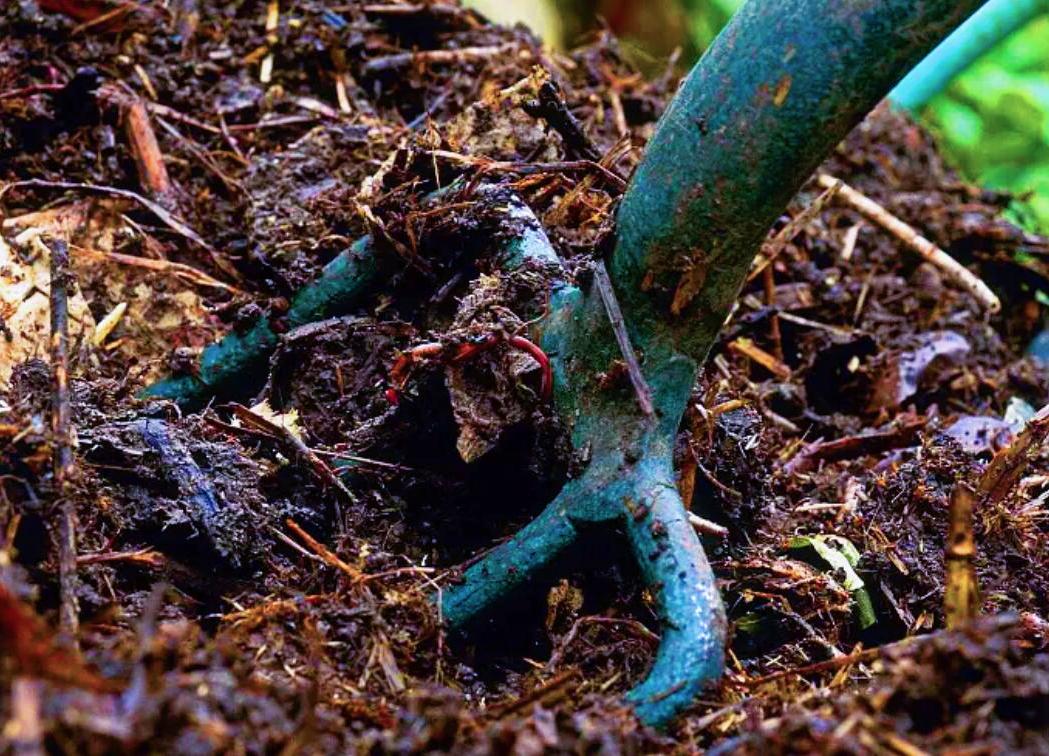 The easiest way to make your own nutrient soil