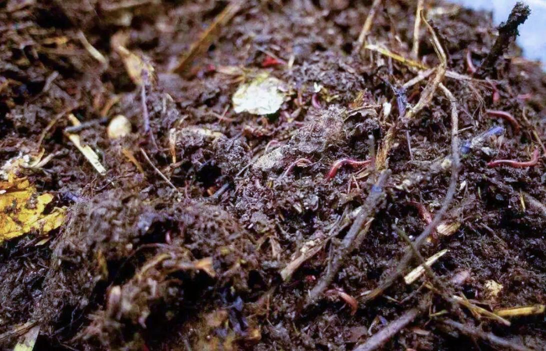 The easiest way to make your own nutrient soil