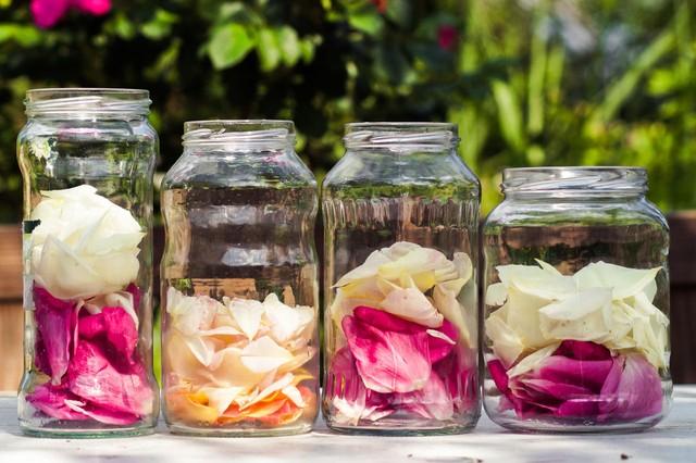 How to preserve roses with glycerin