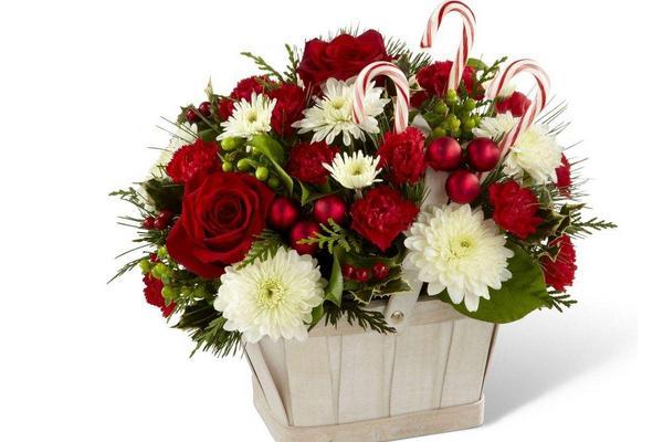 How to cut roses for vase
