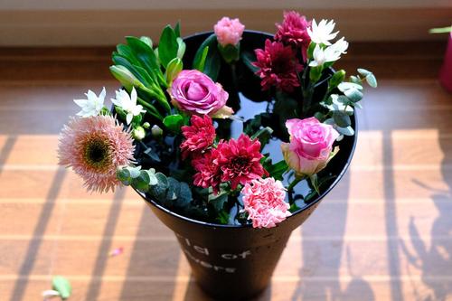 How to keep roses alive in a vase