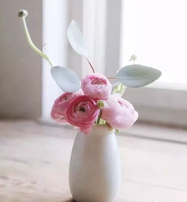 What greenery goes with roses