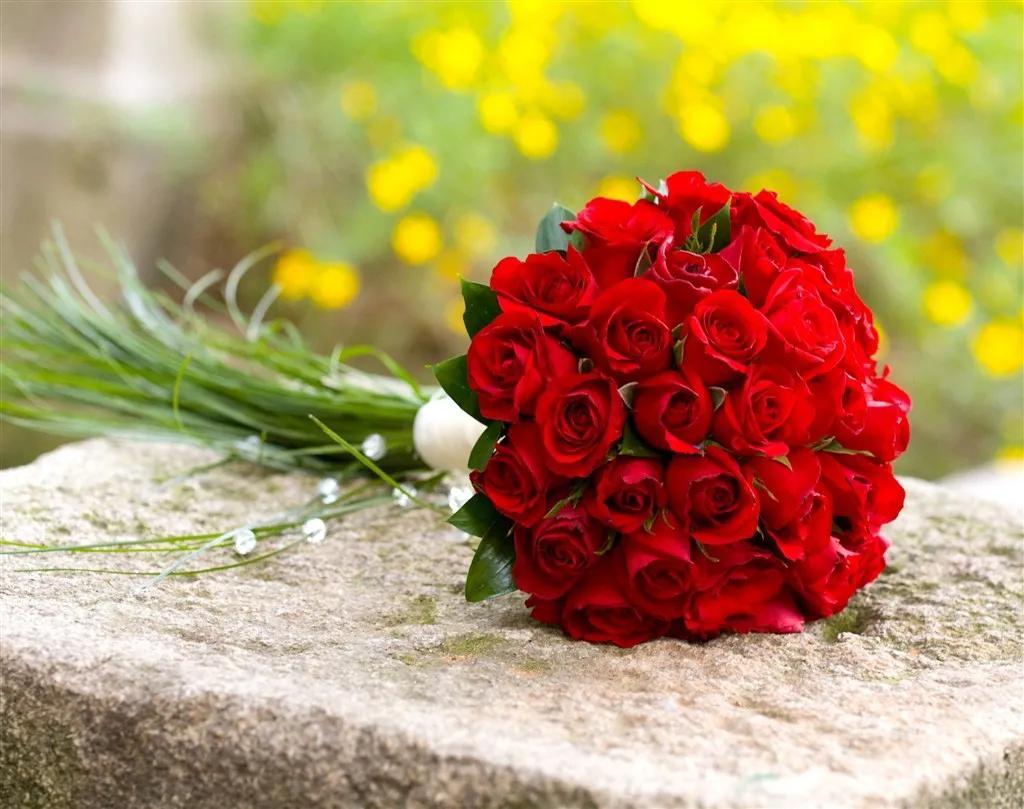 What do red roses mean