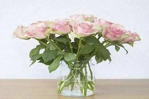 What color roses for mom