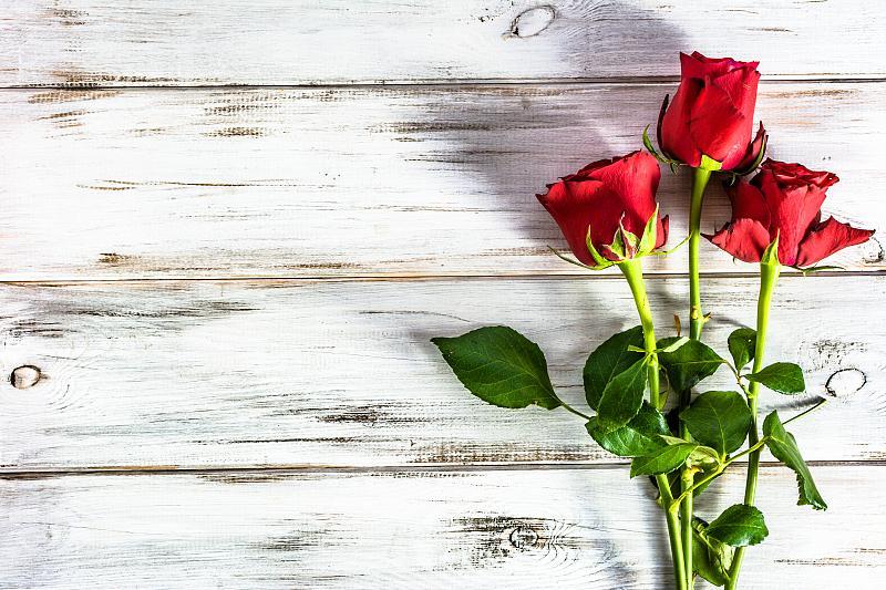 When should roses be cut back and how much