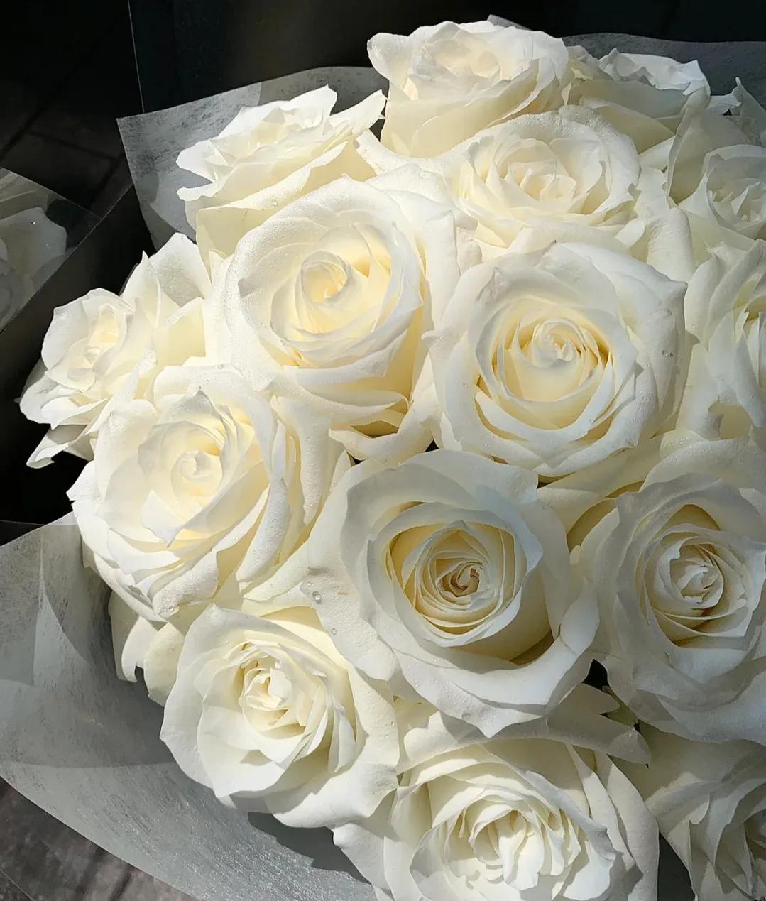 What do yellow roses signify(What do yellow roses represent)