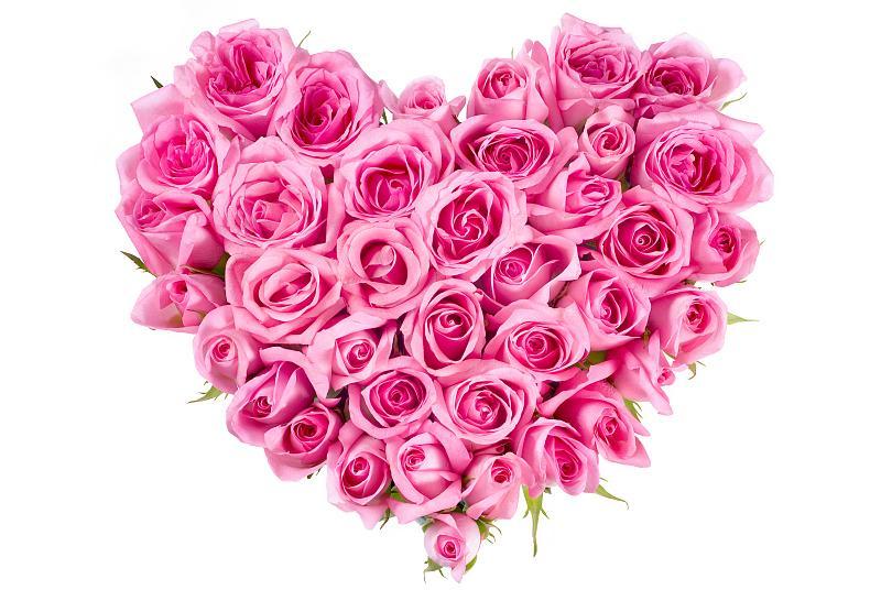 When should roses be cut back and how much