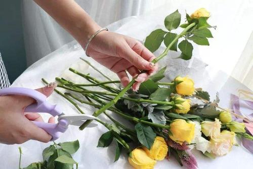 How to keep roses alive in a vase