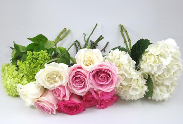 Do roses and hydrangeas go together