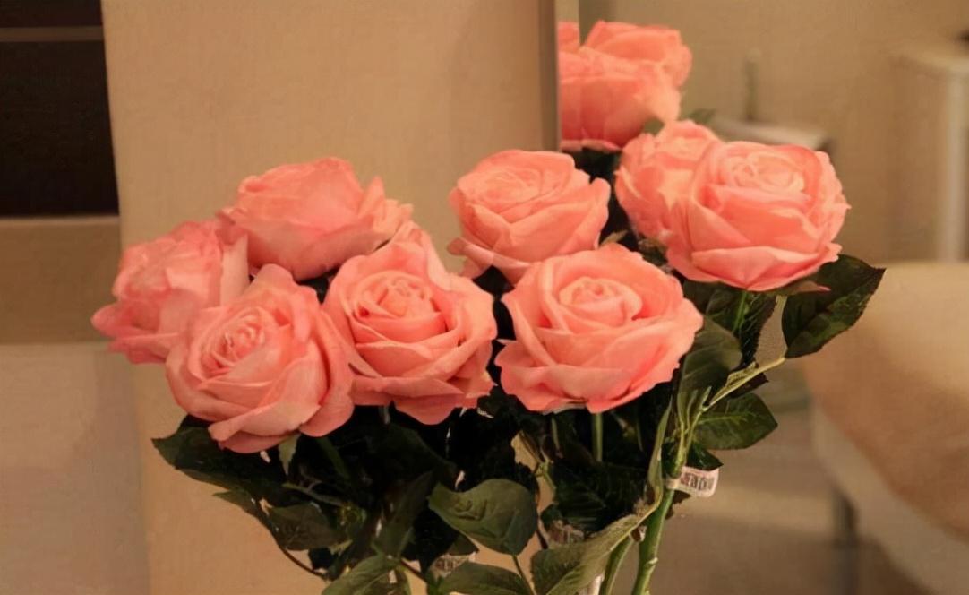 What time does roses open