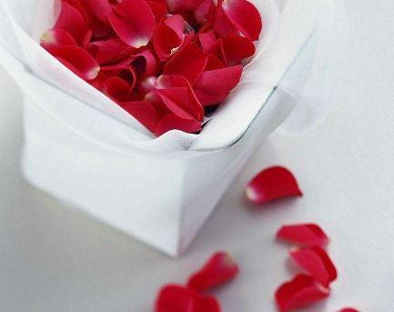 What do roses smell like(what do roses taste like)