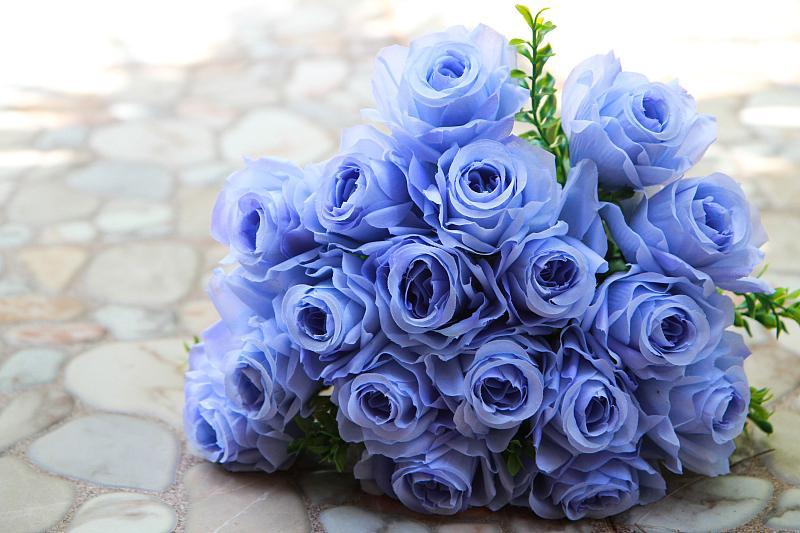 When should roses be cut back and how much