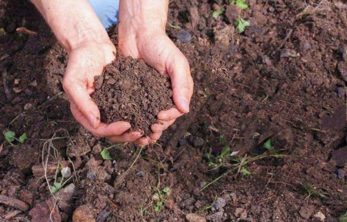The easiest way to make your own nutrient soil