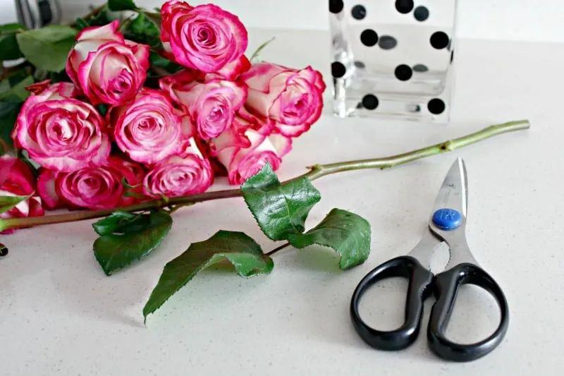 How to revive roses