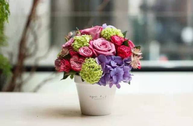 Do roses and hydrangeas go together