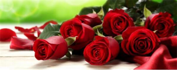 How to revive roses