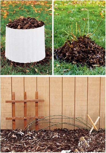 What is the best mulch for roses