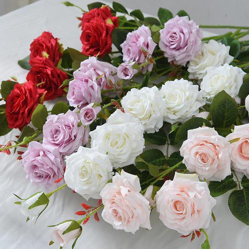Are purple roses real