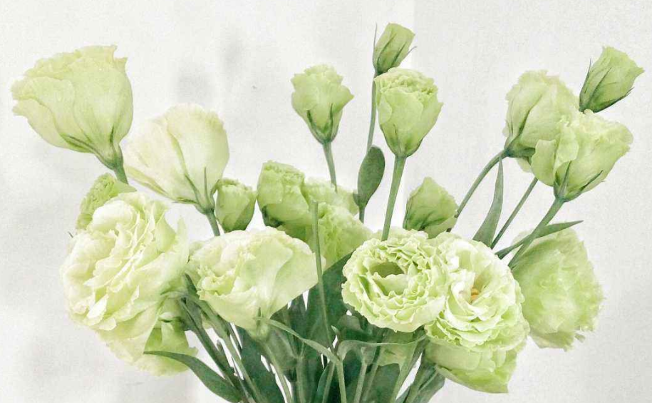 What flowers go well with roses