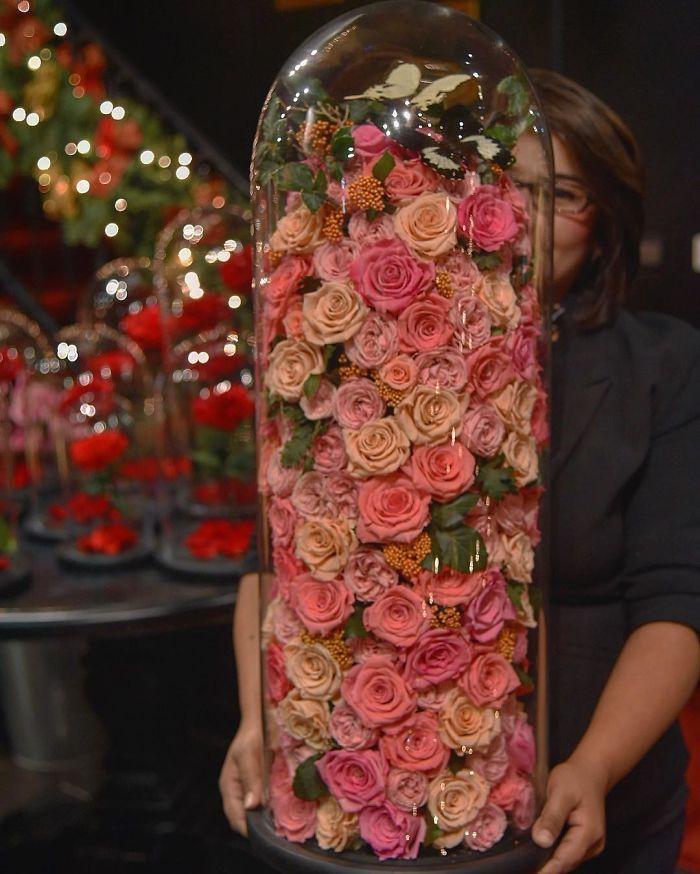 The flower language and meaning of eternal flowers