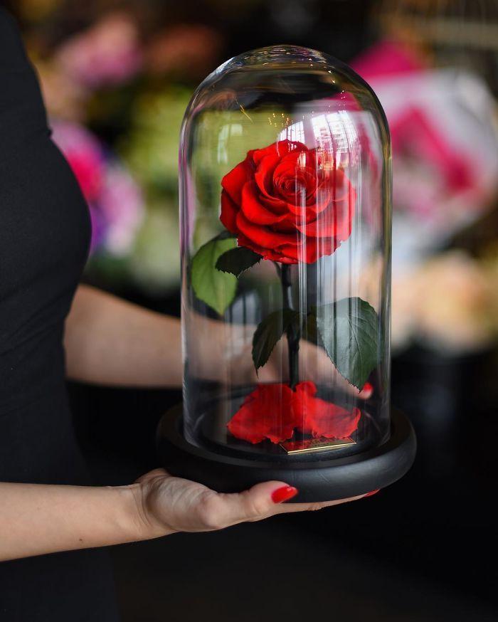 The flower language and meaning of eternal flowers