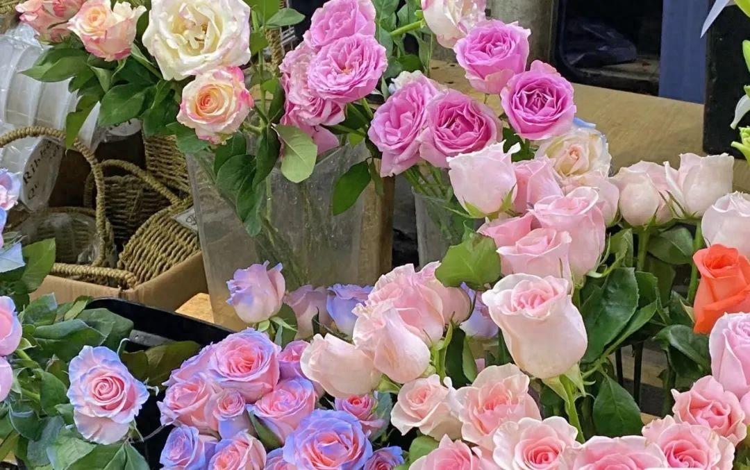 How much water does roses need