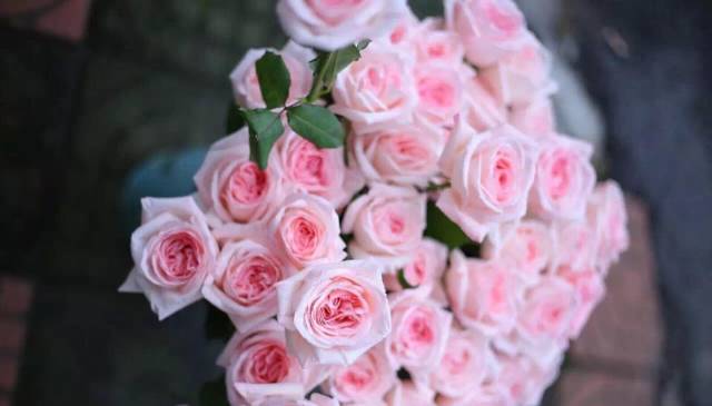 How to dethorn roses
