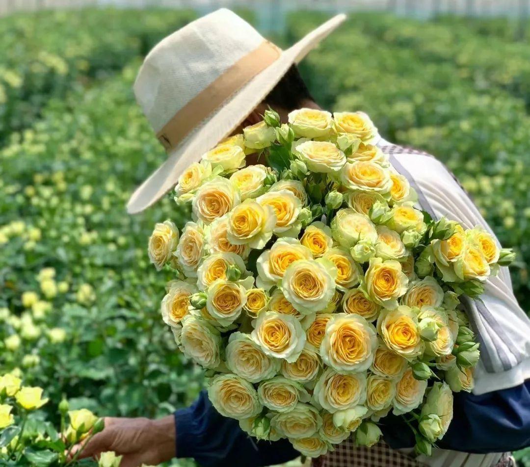 What do orange roses mean in a relationship