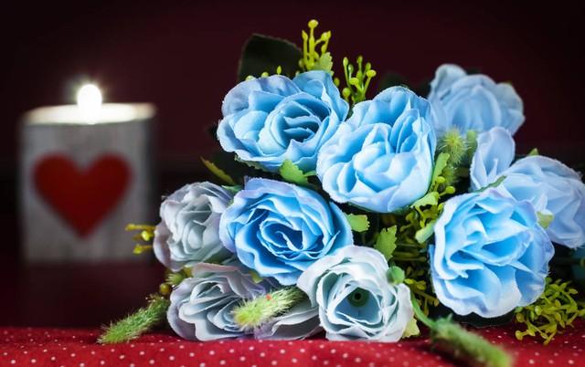 When can i move my roses