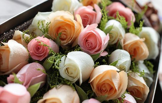 How long can roses last without water