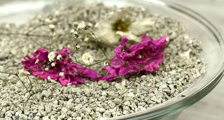 How to dry roses in the microwave