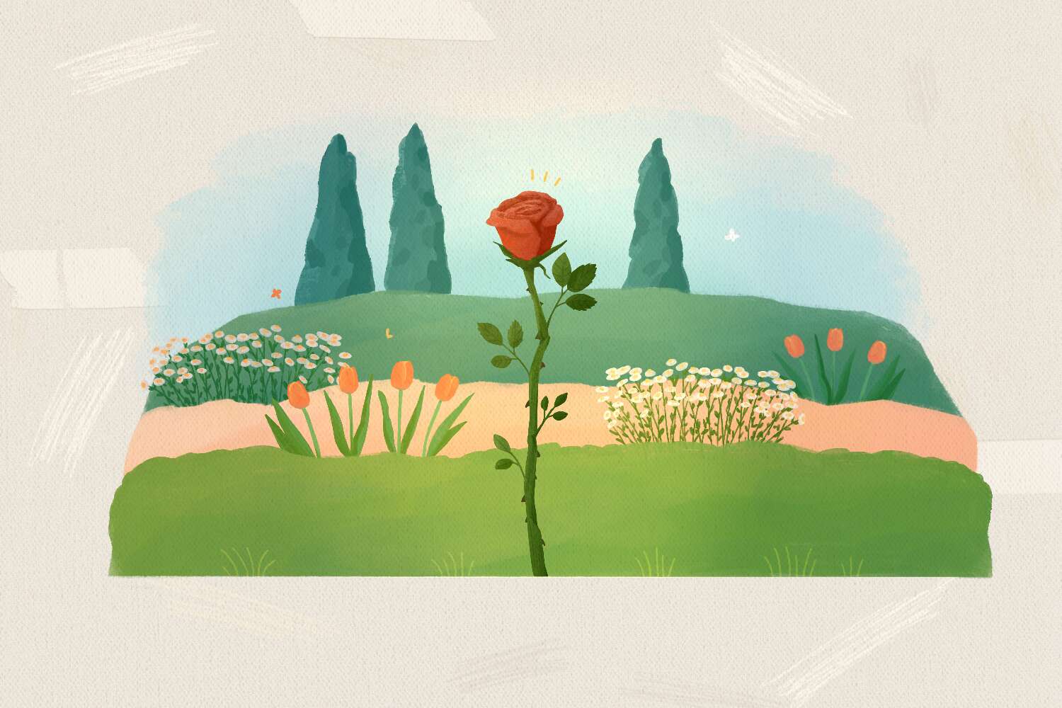 How do roses reproduce