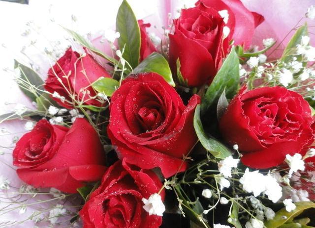 How to keep roses blooming