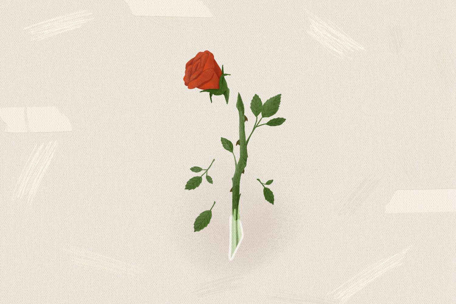 How do roses reproduce