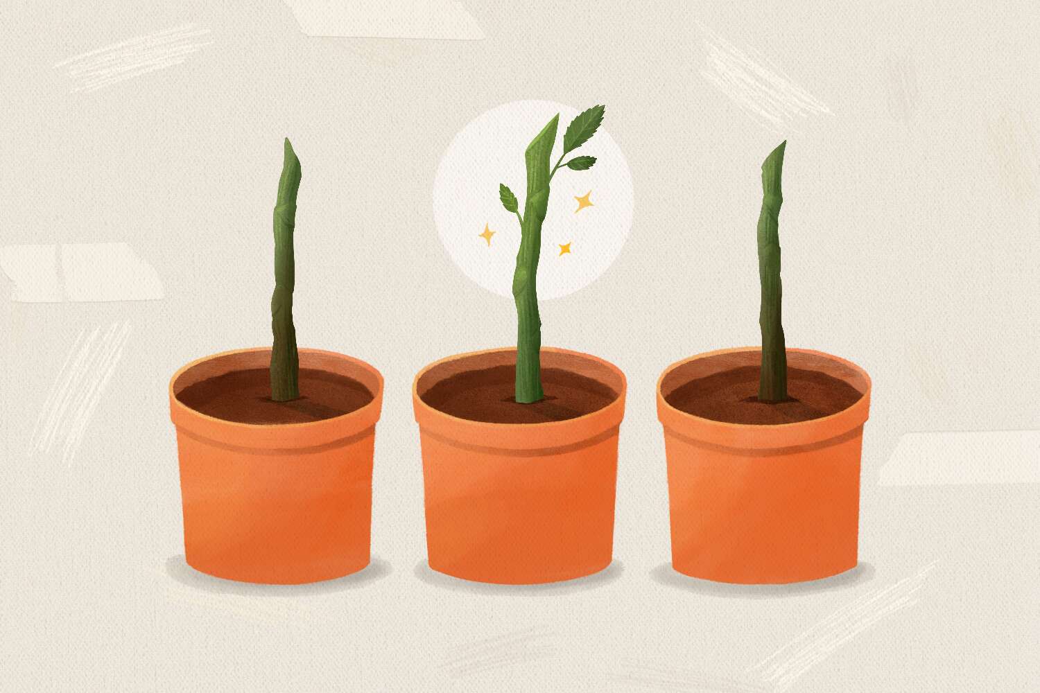 How do roses reproduce