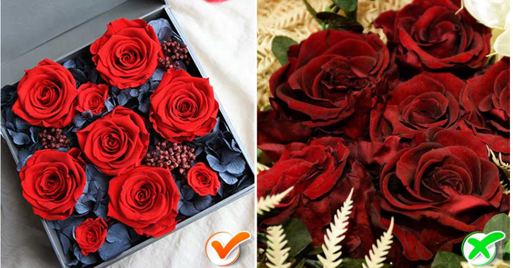 How are preserved roses made