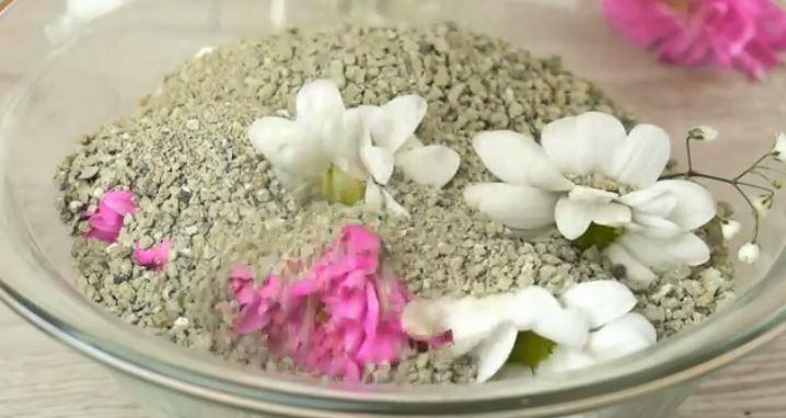 How to dry roses in the microwave