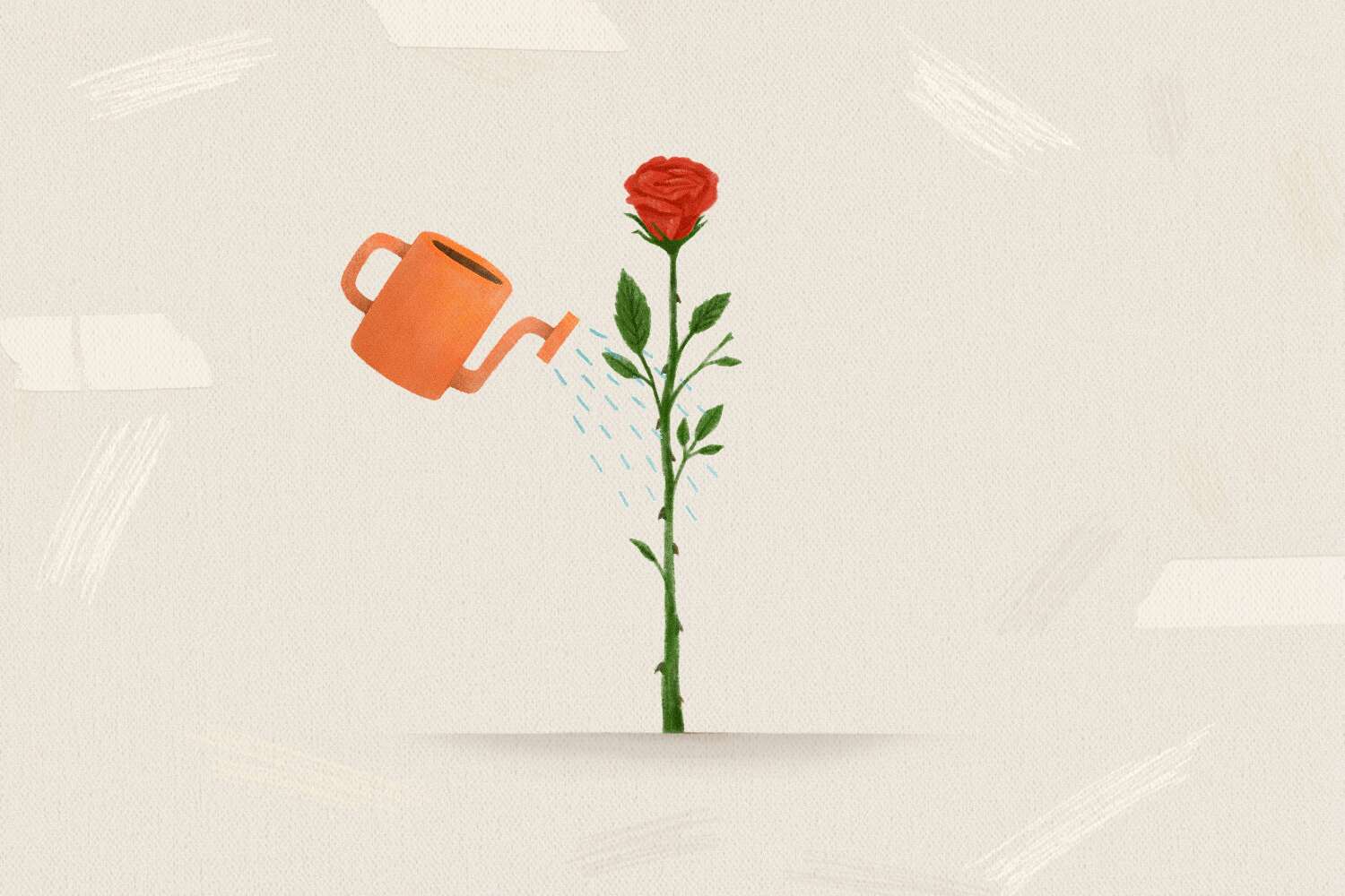How do roses reproduce
