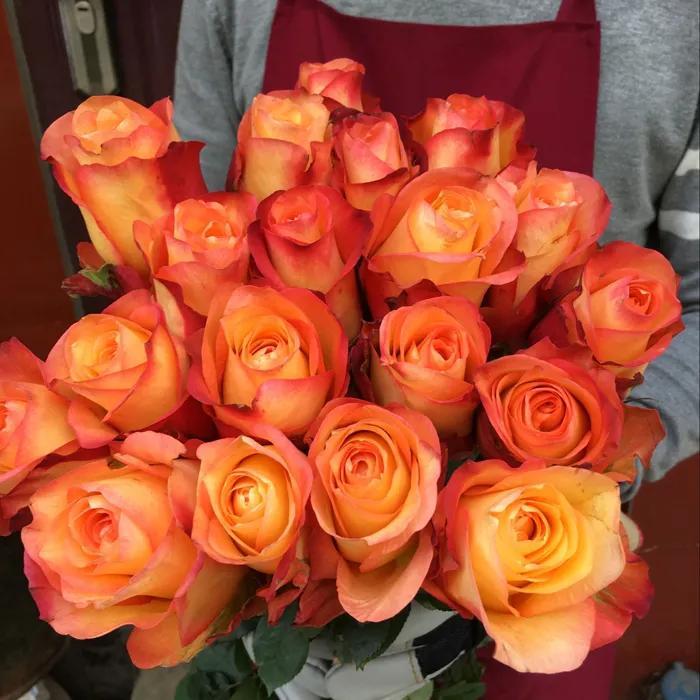 What does the color of roses mean on valentine's day