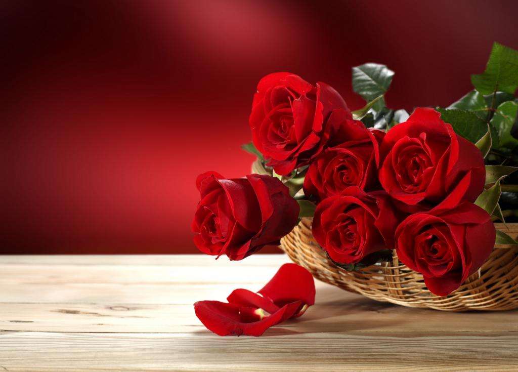 What does the color of roses mean on valentine's day