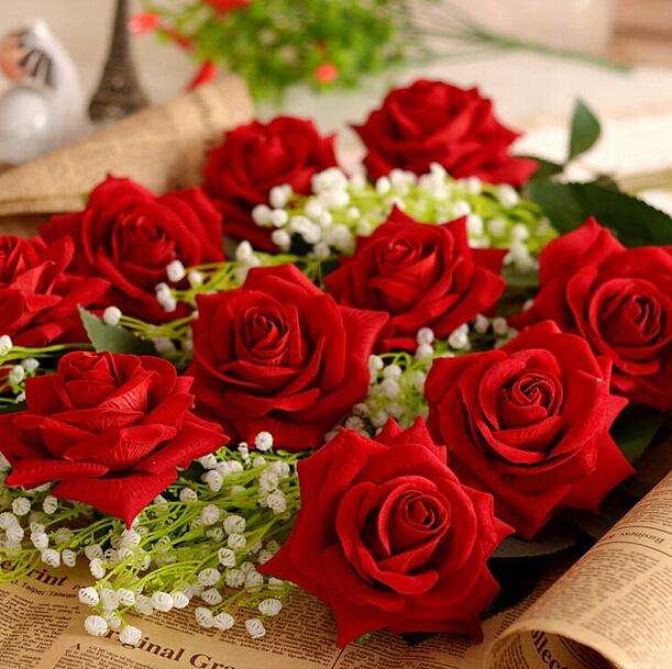 How to protect roses during winter