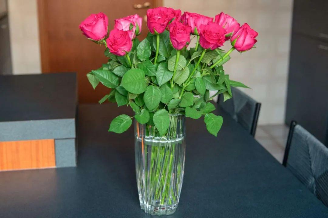 How to revive dead roses