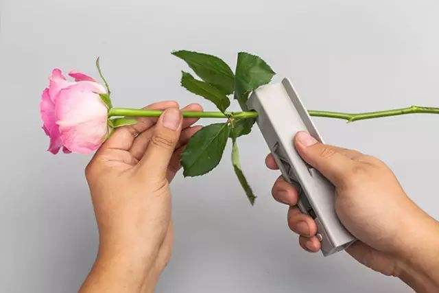 how to prepare roses for vase